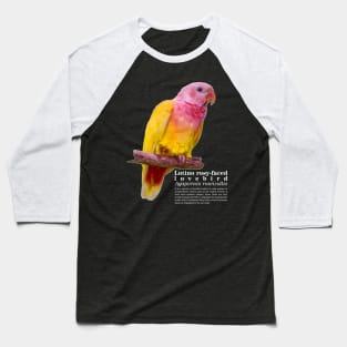 Lutino rosy-faced lovebird white text Baseball T-Shirt